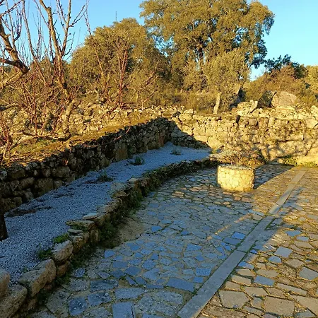 Quinta Amendoeiras דירה *