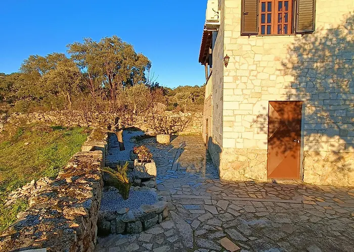 Apartment Quinta Amendoeiras Mêda